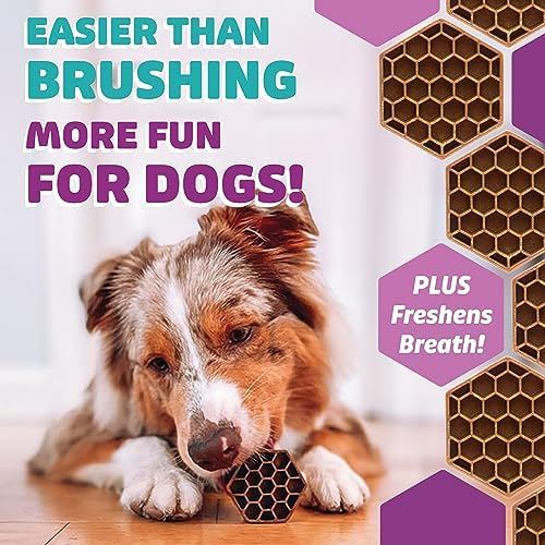 Yummy Combs Dog Dental Treats – Fish & Egg Protein – Vet VOHC Approved, Removes Tartar – A Daily Teeth Cleaning Treat for Medium Dogs (30 Count) (Pack of 2)