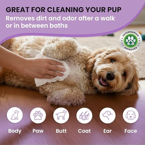 Dog Wipes, Deodorizing & Cleaning, Lavender Scent, Made in USA, 100 Count