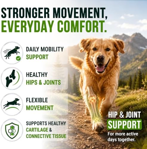 Glucosamine Hip & Joint Supplement for Dogs - Chews with Chondroitin & MSM
