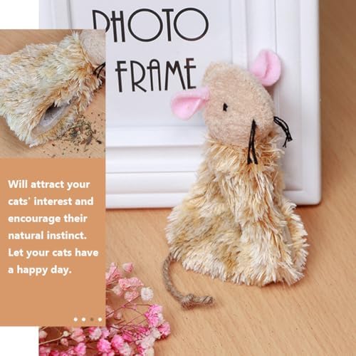 Ipetboom 3pcs Cat Kangaroo Toy - Refillable Teething Plush Doll for Puppies Cat Teasing Puppy Teething Kitten Teasthing Toy Cartoon The Kitten Plush Doll