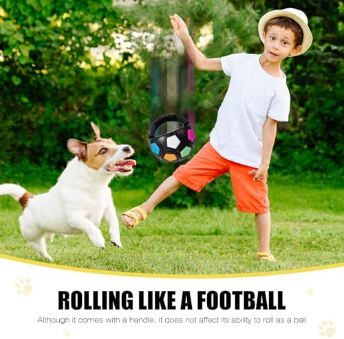 Dog Toy Ball with Handle, Toss and Fetch Play, Interactive Ball for Dogs Playing, Squeaky Floating (Black)