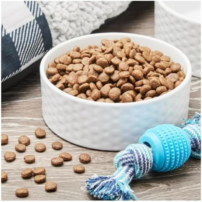 Pure Balance Wild & Free Salmon & Pea Recipe Dry Dog Food, Grain~Free, Real Salmon First Ingredient, No Fillers or Artificial Preservatives, Supports Muscle, Digestion, Heart, and Coat Health ~ 4 Lbs