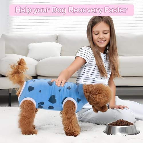 Recovery Suit for Dogs After Surgery Dog Onesie Female Spay Surgical