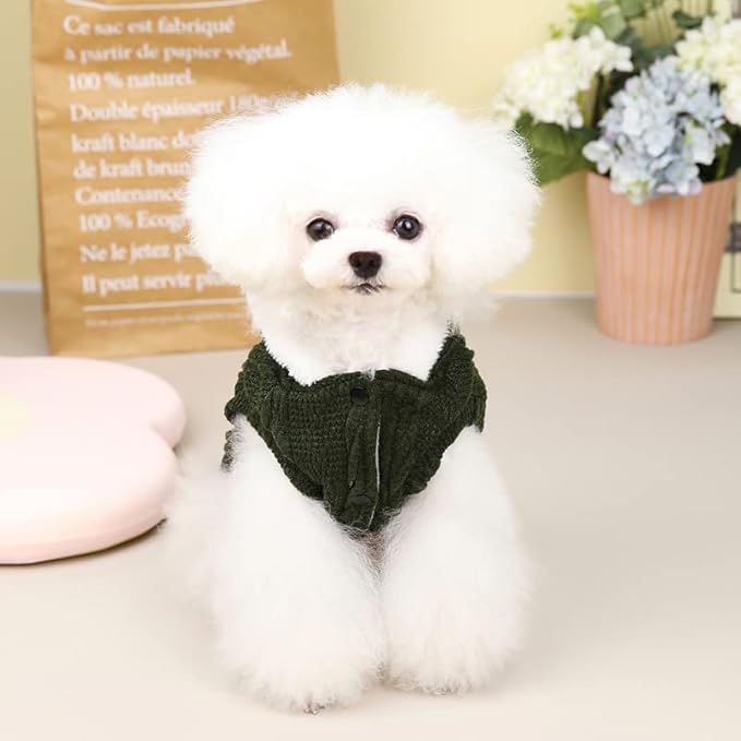 Rdc Pet Clothes Dog & Cat Woolen Sweater with Cap - Winter Warm Turtleneck Fleece Coat for Small & Medium Dogs (L, Classic-Green)