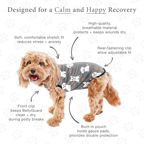 BellyGuard Dog Surgery Recovery Suit, Male Female After Spay Neuter Onesie