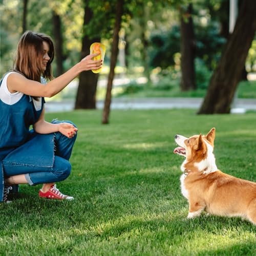 Andiker Dog Squeaky Toy, Plush Dog Chew Toys with a Squeaker, Slipper Shaped Interactive Dogs Toys for Small Medium Dogs Playing Chewing Teething Training (Yellow)