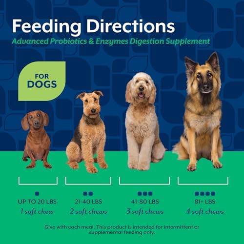 NaturVet Advanced Probiotics & Enzymes Dog Supplement - 120 Soft Chews