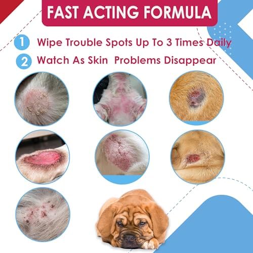 Chlorhexidine & Ketoconazole Medicated Dog & Cats Wipes 100ct Wipes for Hot Spots, Flaky Skin, Red Itchy Irritated Paws, Helps Clean, Deodorize,Irritated Skin Folds NDC: 86176-204-10 (Made in U.S.A)
