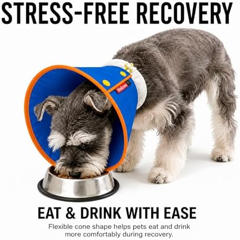 Soft Dog Cone Collar for Dogs & Cats, Adjustable Elizabethan Recovery Collar, Lightweight EPE Material, Post-Surgery Wound Protection (Blue, M)
