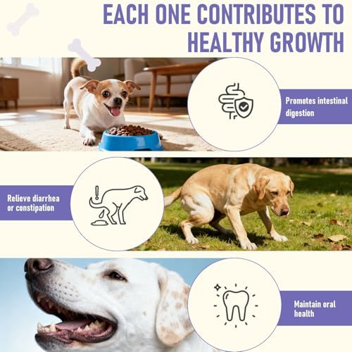 Dog Probiotics Soft Chew for Digestive Health & Immune Support