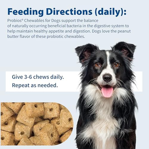 Probios Digestive Support Dog Chewables, 1 lb, 3-Pack