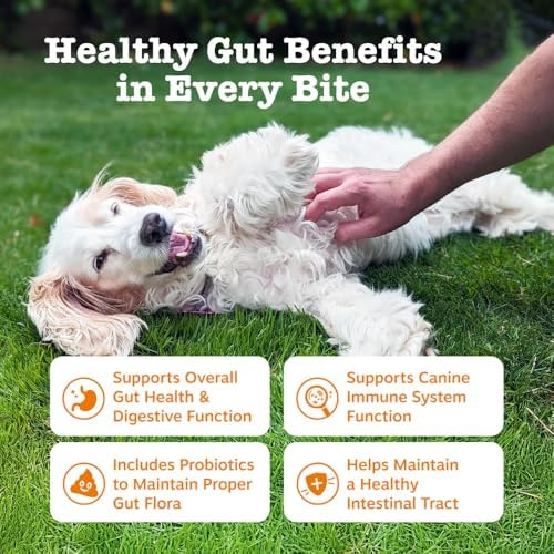 Dog Probiotic Soft Chews – Gut Health & Digestive Support with 1.5 Billion CFU Probiotics, Prebiotics & Enzymes – Helps Improve Stool Quality – All Breeds