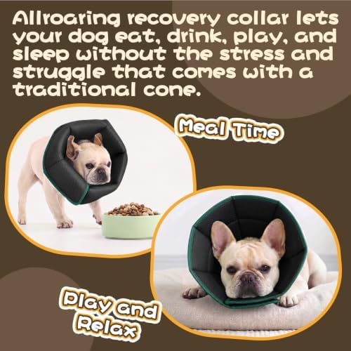 Allroaring Breathable Medium Dog Cone, Comfy Cone After Surgery Green M