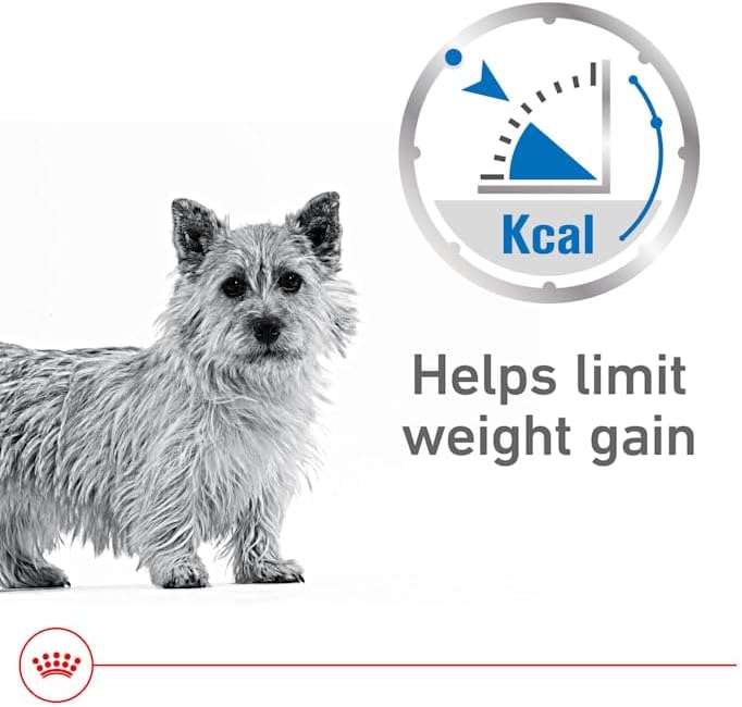 Royal Canin Weight Care Loaf in Sauce Wet Dog Food, 5.2 oz., Case of 24