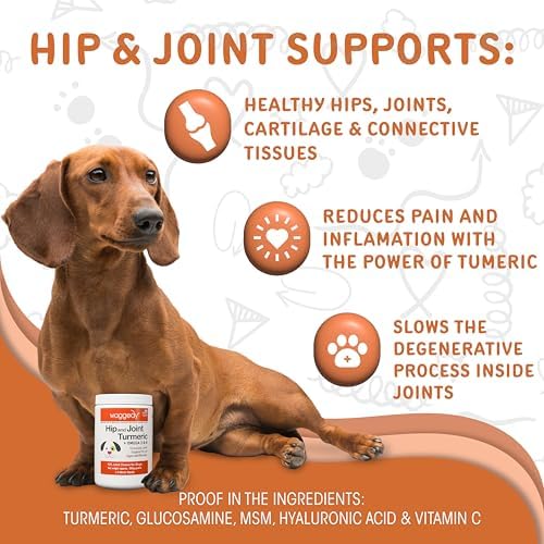 waggedy Hip and Joint Turmeric – Complete Dog Supplements for Joints with Glucosamine, MSM, HA & Omega Fatty Acids — Daily Glucosamine for Dogs to Improve Flexibility & Mobility (120 Dog Chews)