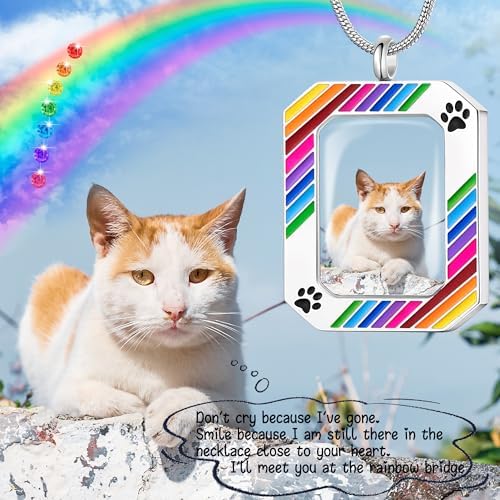Fanery Sue Pet Ashes Necklace for Dog Cat, Custom Photo & Text