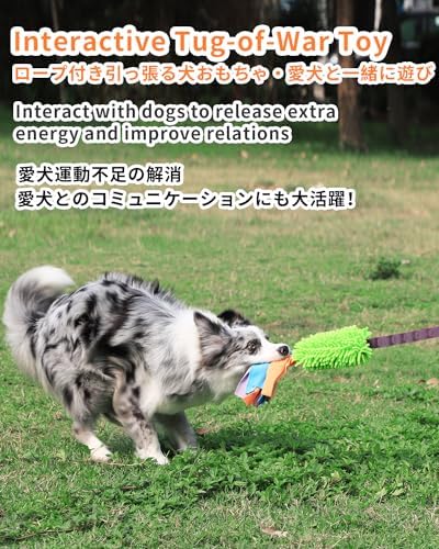 SCHITEC Tug Toy for Dogs, [2 Pack] Bungee Tug of War Squeaky Rope Toys for Exercise & Interactive Play Games, Puppy Training Pull Toy for Small Medium Large Dog