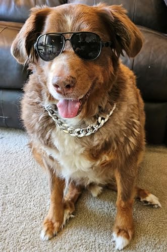 C15 Dog Pet Costume Set Retro Sunglasses Glasses + Chain Adjustable for Medium Breeds Approximately 18-40 lbs Party Prop Cosplay Photoshoot (Aviator Black + Silver Chain)