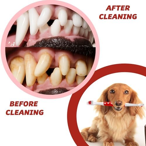 Pet Toothbrush for Dogs, Cats with Soft Bristles - Easy Teeth Cleaning & Dental Care, Non Slip Dual Head Dog Toothbrush for Medium & Large Pets, Toothpaste Not Included, Pack of 4 Multi