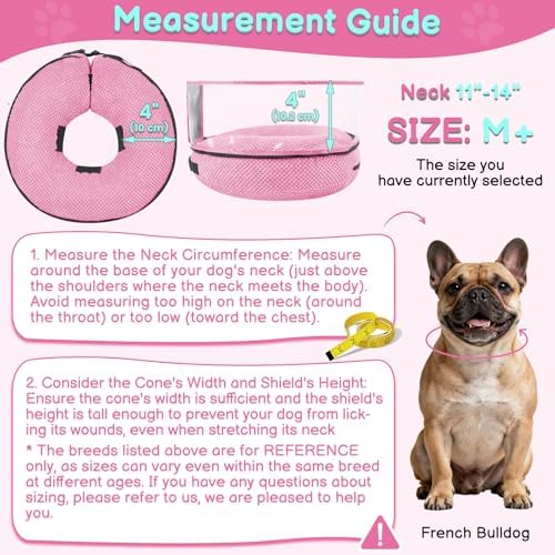 Inflatable Dog Cone with Clear Shield for Added Coverage