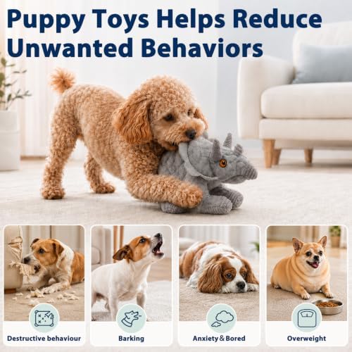 YINEYA Squeaky Plush Dog Toys for Puppy,Crinkle Stuffed Chew Toy,Interactive Tug of War Doggie Toy,Keep Them Busy, Birthday Gift for Puppy Small Medium Dogs-Gray