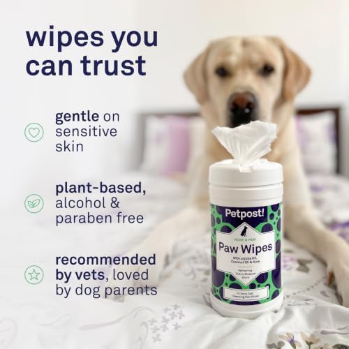 Petpost Large Paw Wipes for Dogs | 70 Count Dog Paw Cleaner Wipes with Aloe Vera, Witch Hazel & Cocoa Butter | Gentle Pet Wipes for Paws | Ultra Soft Cotton Pads