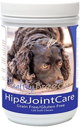 Healthy Breeds American Water Spaniel Hip and Joint Care 120 Count