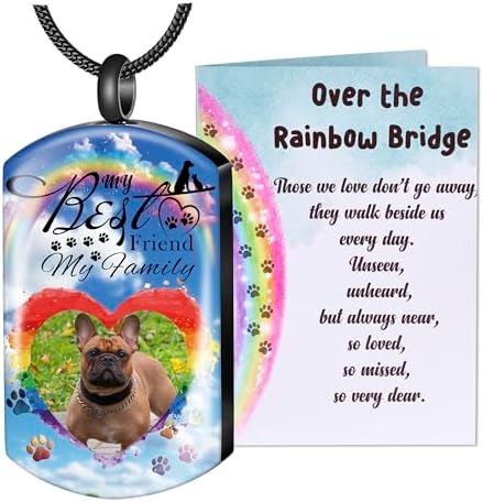 Fanery Sue Pet Ashes Necklace for Dog Cat, Custom Photo & Text