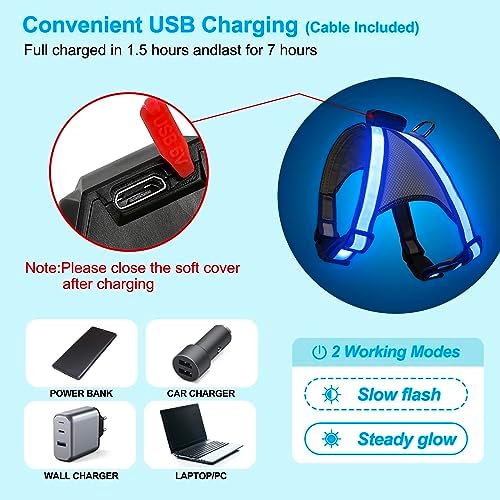 Visinite LED Dog Harness, USB Rechargeable Light Up Dog Vest, 2 Illuminate Modes Glow in The Dark Dog Harness, Adjustable Lighted Pet Harness Light for Night Walking Safety(Blue, S)