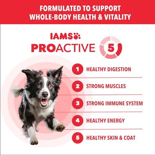 IAMS Proactive Health Minichunks Dry Dog Food, Lamb & Rice, 38.5 lb
