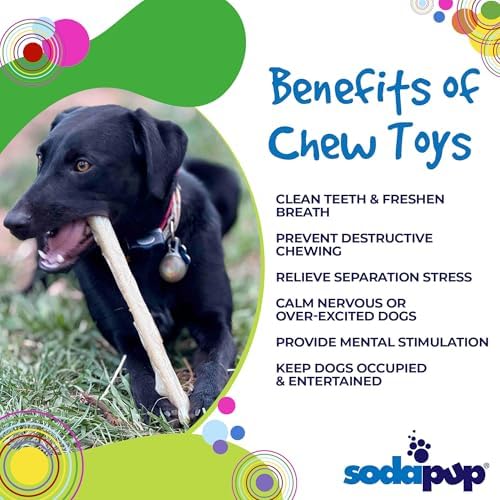 SodaPup Chew Stick – Durable Dog Chew Toy Made in USA from Non-Toxic, Pet Safe, Food Safe, Nylon Material for Mental Stimulation, Clean Teeth, Fresh Breath, Problem Chewing, Calming Nerves, & More
