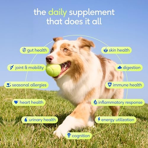 Native Pet The Daily Dog Vitamins & Supplements - 11-in-1 Multivitamin for Dogs - Daily Powder Supplement with Probiotics, Collagen - 120 Scoops