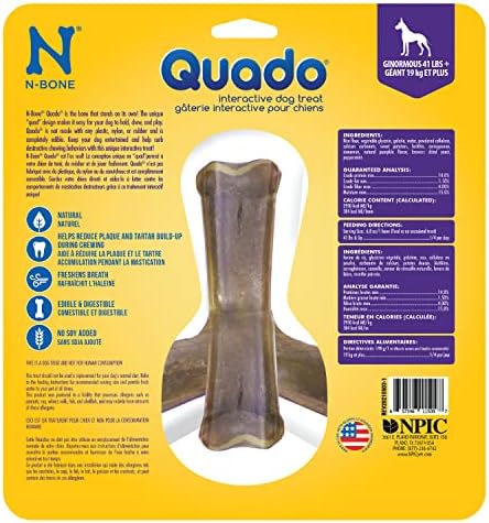 N-Bone Nbone 115097 Quado in Pumpkin, Large (575174)