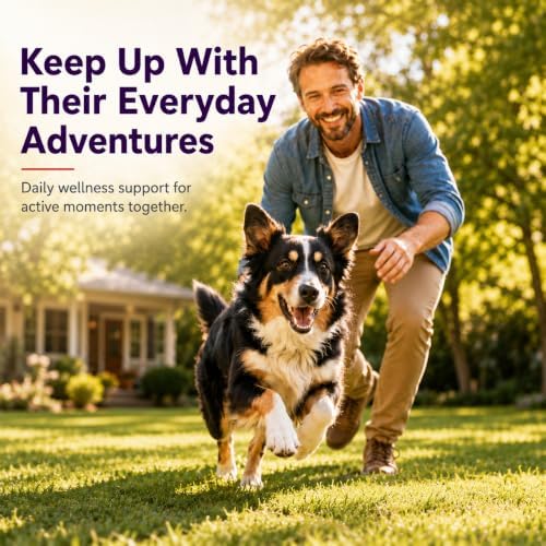 Dog Joint Supplement with Glucosamine, Chondroitin & MSM, Hip & Joint Support Chewable Tablets for Senior, Adult & Active Dogs, All Breeds & Sizes, 100 Count