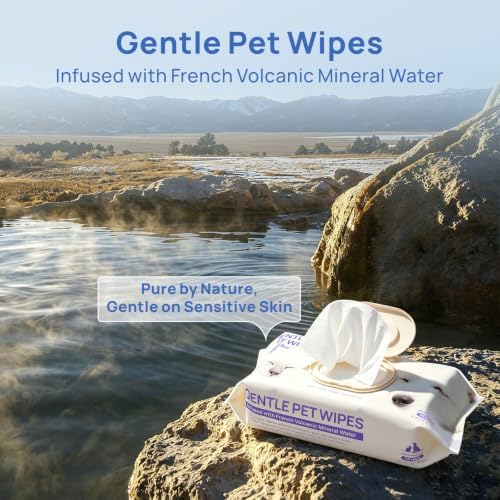 HICC PET Dog Wipes for Dogs & Cats, French Mineral Water, 440 Count