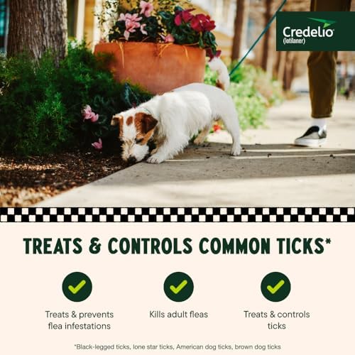 Credelio (lotilaner) Tick & Flea Treatment for Dogs 6.1-12 lbs., 1ct