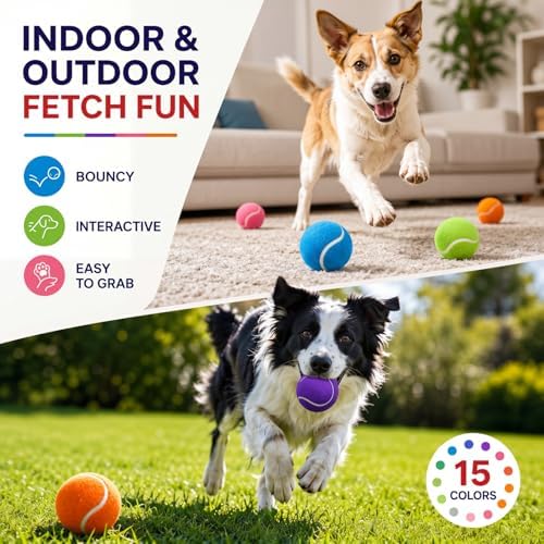 Yunsailing 15 Pcs Dog Tennis Balls 2.4 Inch Dogs Toy Balls Bright Colors Pet Training Toy for Small Medium Large Puppy Indoor Outdoor Interactive Training Exercise Games