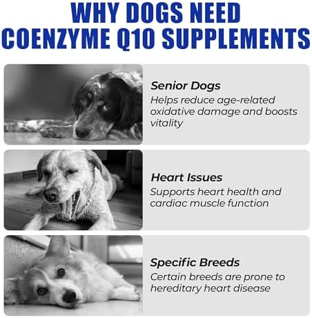 Just Try CoQ10 Heart Supplement Chews for Dogs, Taurine Chicken Flavor