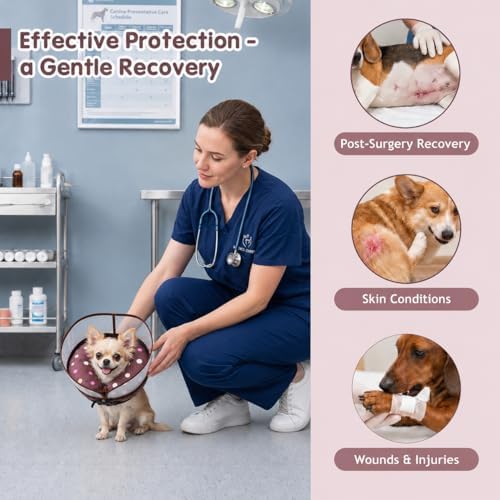 Avont 2-in-1 Dog Cone S Donut Shield