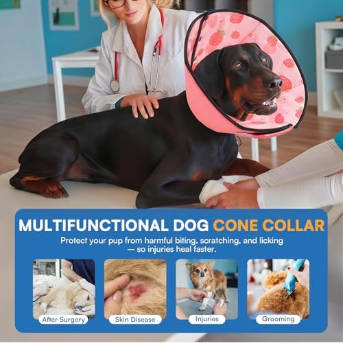 Queenmore Dog Cones for Large Dogs, Soft Dog Cone, Cone for Dogs to Stop Licking After Surgery, Adjustable Elizabethan Collar for Pet to Prevent Licking Wounds, Strawberry L