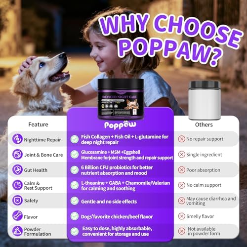 Dog Multivitamin Powder – Calm, Repair, Joint & Gut, Beef, 75 Scoops