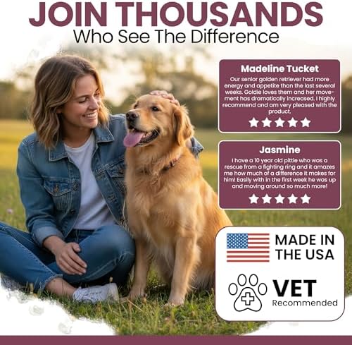Senior Dog Vitamins and Supplements - 60 Soft Chew Multivitamin for Dogs