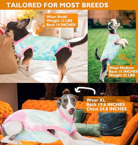Recovery Suit for Female Dogs, Dog Cone Alternative After Spay