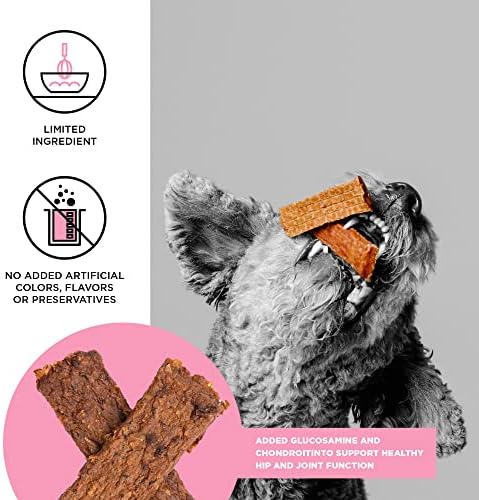 BIXBI Hip & Joint Support Salmon Jerky Dog Treats, 10 Oz - USA Made Grain Free Dog Treats - Glucosamine, Chondroitin for Dogs - High in Protein, Antioxidant Rich, Whole Food Nutrition, No Fillers