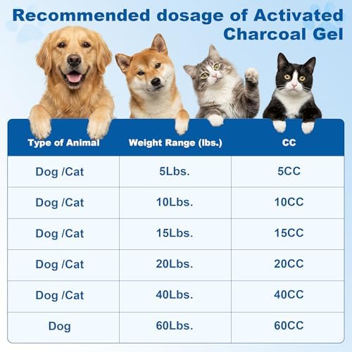 Pet Emergency Activated Charcoal Paste, Toxin Absorber for Dogs & Cats, Aids Digestive System Recovery, Pet First Aid Kit, 30 ml
