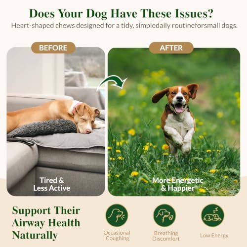 Airway Support Soft Chews for Dogs, Small Breed Daily Airway Support