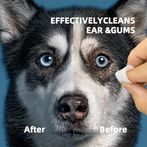 Cat Eye Wipes, Dog Eye Wipes, Eye Wipes for Dogs, Cat Wipes, Pet Wipes for Cats, Dog Tear Stain Remover, Cat Dental Care – Pet Eye Wipes for Cats: Tear Stain Cleaning Wipes, Daily Morning Cleanup