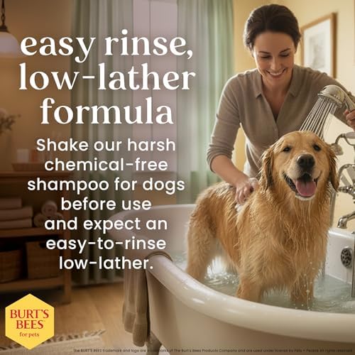 Burt's Bees for Pets Itch Soothing Dog Spray, Mushroom & Green Tea, 10 Oz