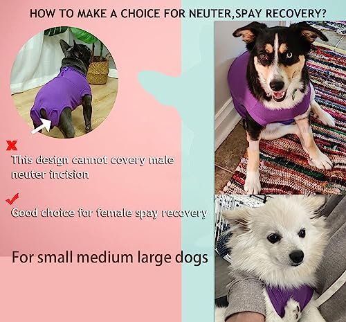 Recovery Suit for Female Dogs, Dog Cone Alternative After Spay