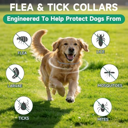 4 Pack Flea Collar for Dogs, 32 Months Flea and Tick Prevention for Dogs